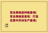 蒙自黄精苗种植基地(蒙自黄精苗基地：打造优质中药材生产基地)