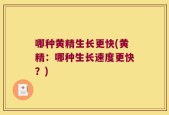 哪种黄精生长更快(黄精：哪种生长速度更快？)