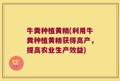 牛粪种植黄精(利用牛粪种植黄精获得高产，提高农业生产效益)