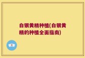 白银黄精种植(白银黄精的种植全面指南)