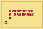 兴义黄精种植(兴义黄精：优良品质的种植实践)