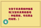 文登于民勇黄精种植基地(文登民勇黄精基地：种植黄精，寻找黄金的秘密。)