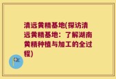 清远黄精基地(探访清远黄精基地：了解湖南黄精种植与加工的全过程)