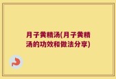 月子黄精汤(月子黄精汤的功效和做法分享)