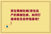 崇左黄精牡蛎(崇左出产的黄精牡蛎，如何打造绿色生态养殖基地？)
