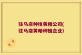 驻马店种植黄精公司(驻马店黄精种植企业)
