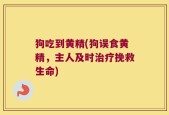 狗吃到黄精(狗误食黄精，主人及时治疗挽救生命)