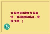 大黄精彩剪辑(大黄集锦：剪辑精彩瞬间，看得过瘾！)