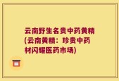 云南野生名贵中药黄精(云南黄精：珍贵中药材闪耀医药市场)