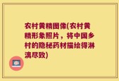 农村黄精图像(农村黄精形象照片，将中国乡村的隐秘药材描绘得淋漓尽致)