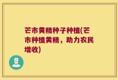 芒市黄精种子种植(芒市种植黄精，助力农民增收)