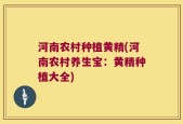 河南农村种植黄精(河南农村养生宝：黄精种植大全)