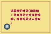 滇黄精的疗效(滇黄精：草本良药治疗多种疾病，神奇疗效让人惊叹)