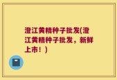 澄江黄精种子批发(澄江黄精种子批发，新鲜上市！)