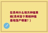 在贵州什么地方种植黄精(贵州首个黄精种植基地落户哪里？)