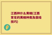 江西种什么黄精(江西常见的黄精种类及栽培技巧)