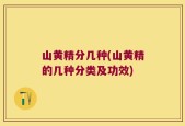 山黄精分几种(山黄精的几种分类及功效)