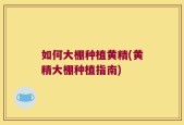 如何大棚种植黄精(黄精大棚种植指南)