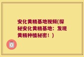 安化黄精基地视频(探秘安化黄精基地：发现黄精种植秘密！)