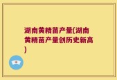 湖南黄精苗产量(湖南黄精苗产量创历史新高)