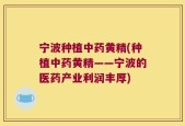 宁波种植中药黄精(种植中药黄精——宁波的医药产业利润丰厚)