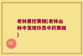 老林里挖黄精(老林山林中发现珍贵中药黄精)