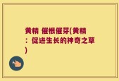 黄精 催根催芽(黄精：促进生长的神奇之草)