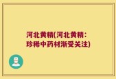 河北黄精(河北黄精：珍稀中药材渐受关注)