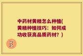 中药材黄精怎么种植(黄精种植技巧：如何成功收获高品质药材？)