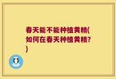 春天能不能种植黄精(如何在春天种植黄精？)