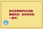 农村挖黄精药材(挖掘黄精药材：农村劳作的一部分)
