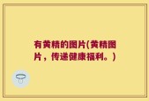 有黄精的图片(黄精图片，传递健康福利。)
