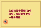 上山挖党参黄精(山中珍宝，探秘养生之宝——党参黄精)