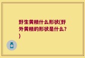 野生黄精什么形状(野外黄精的形状是什么？)