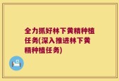 全力抓好林下黄精种植任务(深入推进林下黄精种植任务)