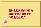果树上的黄精的作用与功能(黄精在果树上的作用及功效简介)