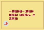 一黄精种植一(黄精种植指南：培育技巧、注意事项)