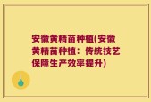 安徽黄精苗种植(安徽黄精苗种植：传统技艺保障生产效率提升)