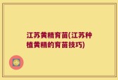 江苏黄精育苗(江苏种植黄精的育苗技巧)