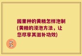 园里种的黄精怎样泡制(黄精的浸泡方法，让您尽享其滋补功效)