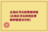 云南红河元阳黄精种植(云南红河元阳地区黄精种植情况分析)