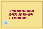 玉竹和黄精根可剪断种植吗(可以剪断种植吗？玉竹和黄精根)