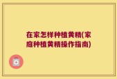 在家怎样种植黄精(家庭种植黄精操作指南)
