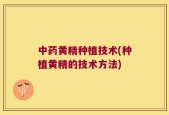 中药黄精种植技术(种植黄精的技术方法)
