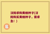 汉阳求购黄精种子(汉阳购买黄精种子，需求急！)