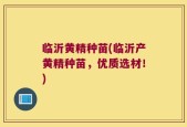 临沂黄精种苗(临沂产黄精种苗，优质选材！)