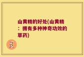 山黄精的好处(山黄精：拥有多种神奇功效的草药)