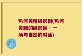热河黄精摄影圈(热河黄精的摄影圈 - 一场与自然的对话)