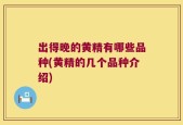 出得晚的黄精有哪些品种(黄精的几个品种介绍)
