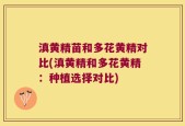 滇黄精苗和多花黄精对比(滇黄精和多花黄精：种植选择对比)